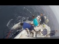 Grander Black Marlin 1000lbs Catch Andrew a 1000 pound Black Marlin Mozambique