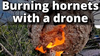 Trying to Burn a Massive Hornets Nest with a Drone (it didn’t go as planned…)