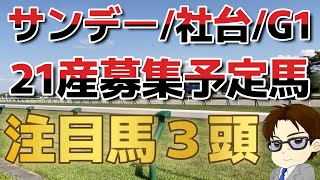 【40口】一口馬主の雄！サンデー・社台・G1の21産募集馬検討してみた！