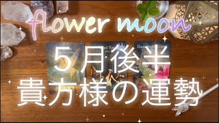 🌕flower moon射手座満月♐️５月後半の貴方様の運勢はいかに？！🌟開運日を見逃さないで🙈❣️恋愛運,仕事,金運等カードからメッセージ🃏タロット占い/オラクルカードリーディング/ルノルマンカード