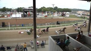 Loose Horses on the Harness Racing Track ...Big Wreck!