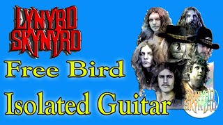 LYNYRD SKYNYRD: Free Bird #isolatedguitar #guitar