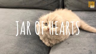 Jar of Hearts (remix lofi) - Fasetya // Dangling  (Video  Lyrics)