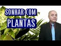 SONHAR COM PLANTAS MURCHANDO SONHAR  PLANTANDO MUDAS DE PLANTAS SONHAR COM PLANTAS FLORECENDO .