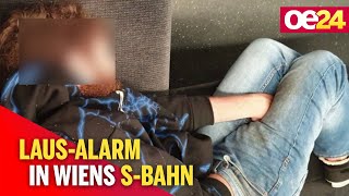 Ekel-Alarm: Der Läuse-Mann von der Wiener S-Bahn