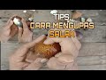 TIPS Cara Mengupas Salak | Memilih Buah Salak yang Baik #241