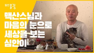 [월간불광] 맥산 스님과 심안이 - 마음의 눈으로 세상을 보는 고양이