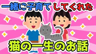 ずっと一緒に子育てしてくれた我が家の猫のお話。もういないなんてさみしいよ【2ch感動スレ】【ゆっくり解説】