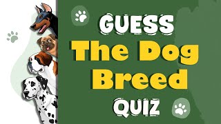 Guess the Dog Breed Challenge! | Fun Animated Dog Quiz for Kids!