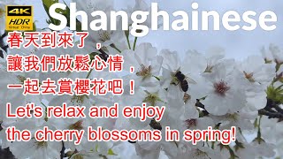 春天到來了，讓我們放鬆心情，一起去賞櫻花吧！Let's relax and enjoy the cherry blossoms in spring!