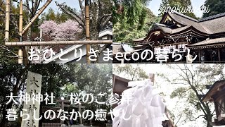 ６０代おひとりさま暮らし｜大神神社｜大美和の杜展望台の桜｜変わらない暮らしの中の癒し｜癒しはひとつでも多い方が良い♪【eco 暮らしvlog #58】