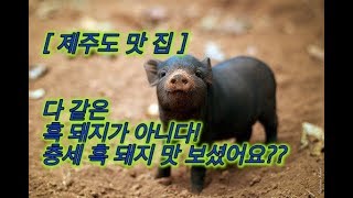 [ 제주도 맛 집 ] 제주 하면 떠 오르는 먹거리? 흑돼지!! 그 중 충세 흑돼지를 먹어보자.!