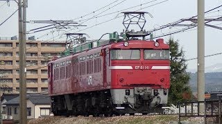 EF81 141 単機回送　信越本線下り