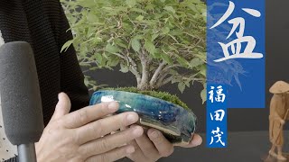 鈴木伸二先生介紹一支武州庵福茂的盆An introduce of Shigeru Fukuta's Bonsai pot by Suzuki shinji