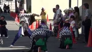 野田こいまつり'16 よさこい風和里