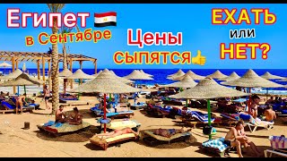 Египет в СЕНТЯБРЕ 🇪🇬 ВАЖНО❗️ Туры ДЕШЕВЕЮТ! ЛЕТЕТЬ или НЕТ на отдых? ПОГОДА, ветер, МАНГО, море