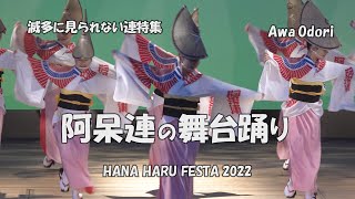 わくわくドキドキ舞台踊り「阿呆連」HANA HARU FESTA 2022（2022.4.17）