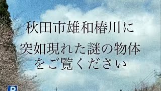 【未確認飛行物体⁉︎】秋田県秋田市雄和椿川に突如現れた謎の物体をご覧ください　#秋田 #未確認飛行物体 #shorts #UFO