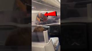 This is why Mike Tyson BEAT the guy on the plane!
