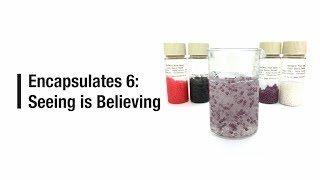 Encapsulates 6: Seeing is Believing