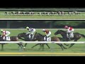 2024 tokyo yushun japanese derby g1 jra official