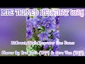 LIFE TURNED HER THAT WAY//IMPROVER LINE DANCE//CHOREO BY ERNI JASIN (INA) & HERU TIAN (INA)