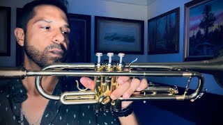 $100 Trumpet! (Recording Test)