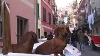 Cinque Terre, Manarola, Italy