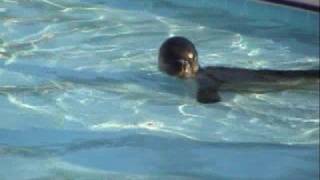 BADEM II - Öksüz Yavru Fok - Orphan Monk Seal Pup