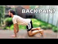 The Cat Camel - My Most Recommended Exercise For Back Pain!