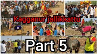 kagganur jallikkattu//Hori habba//bull festiVal// part 5/ mugalur stars//