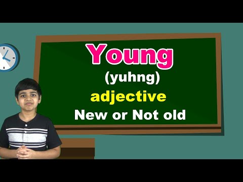 What is a better word for Young?