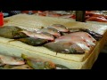 a quick tour around the jimbaran fish markets bali indonesia