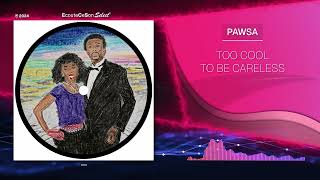 PAWSA - TOO COOL TO BE CARELESS |[ House ]| 2024