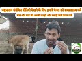 गाय और भैंस की कटड़ी व बछड़ी कैसे तैयार करें pashupalan yojana calf rearing in kisan dairy farm