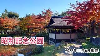 【4K】昭和記念公園・日本庭園の紅葉（2022年11月6日）