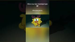 ахах мем смешарики 😂 холодос моя жизнь