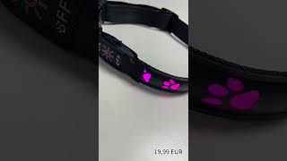 Hundehalsband LED Beleuchtet Rot Schwarz S--19,99 EUR