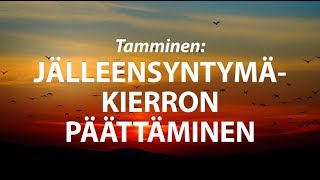 Tamminen: Jälleensyntymäkierron päättäminen