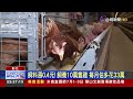 飼料7月將再調漲0.4元 蛋農苦嘆 撐不下去