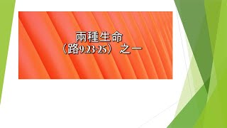 路加福音第九章23-25節（之一）：兩種生命