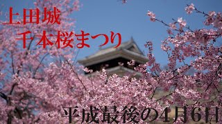 【平成最後】上田城千本桜まつり【4K】　2019年4月6日