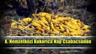 X. Nemzetközi Kukorica Nap Csabacsűdön