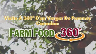 Visite À 360° D’un Verger De Pommes Canadien