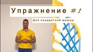 #Боль в боку#Упражнения для #квадратной мышцы поясницы 🚨✅