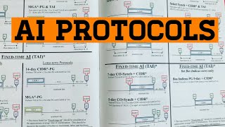 AI (Artificial Insemination) Protocols for Heifers and Cows 🐄 The Two Most Popular Methods!