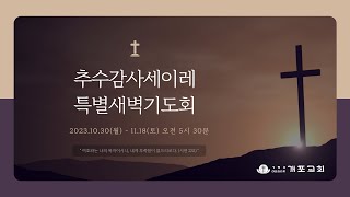 [추수감사 세이레 특별새벽기도회] 2023.11.16 | 나머지 아홉은 어디있느냐? | 누가복음 17:11-19 (이상혁 담임목사)