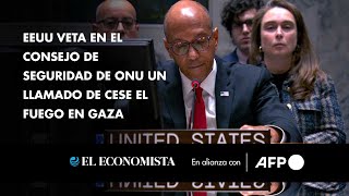 EEUU veta en el Consejo de Seguridad de ONU un llamado de cese el fuego en Gaza