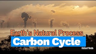 The Carbon Cycle: Unraveling the Secrets of Earth's Natural Process