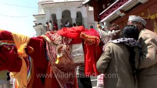 Traditional rituals being performed by the chief priest of Gangotri